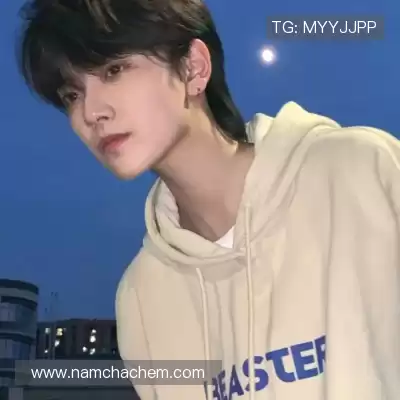 段俪剑