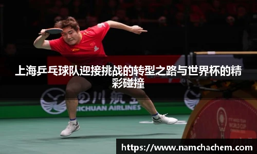 上海乒乓球队迎接挑战的转型之路与世界杯的精彩碰撞